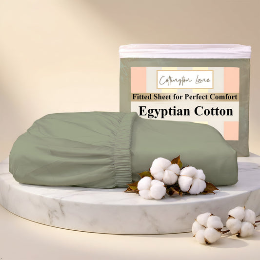 Premium 100% Cotton Fitted Bedsheet | Soft & Cooling Hotel-Quality Sheet | 10-Inch Deep Pocket, All-Round Elastic (Sage)
