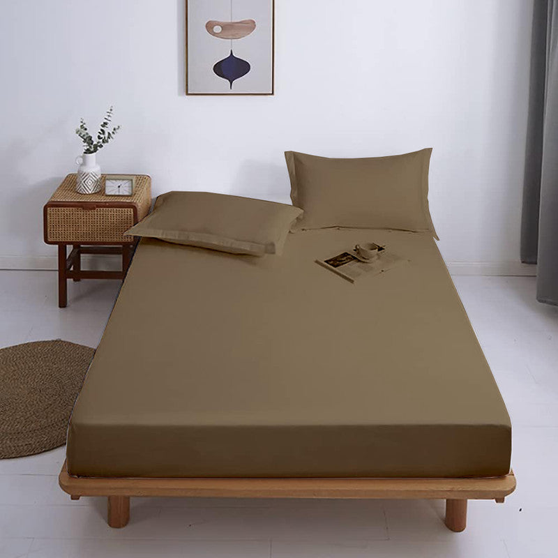 Premium 100% Cotton Fitted Bedsheet with 2 Pillow Covers | All-Round Elastic | 10-Inch Deep Pocket (Taupe)